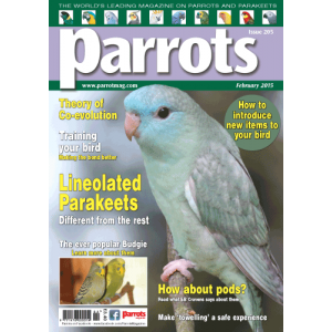 Parrots 205