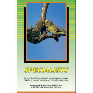 Land of Parrots - Specialists