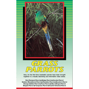 Land of Parrots - Grass Parrots
