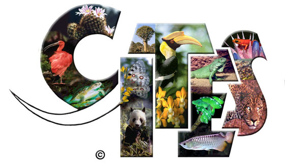 CITES (Convention on International Trade in Endangered Species)
